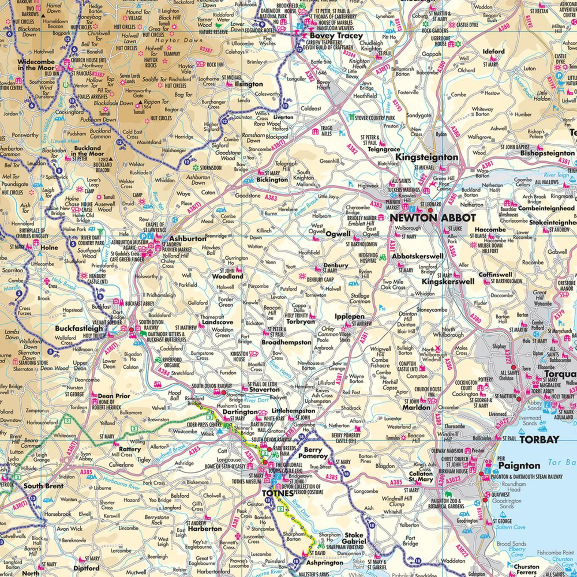Dartmoor South Devon Goldeneye Map